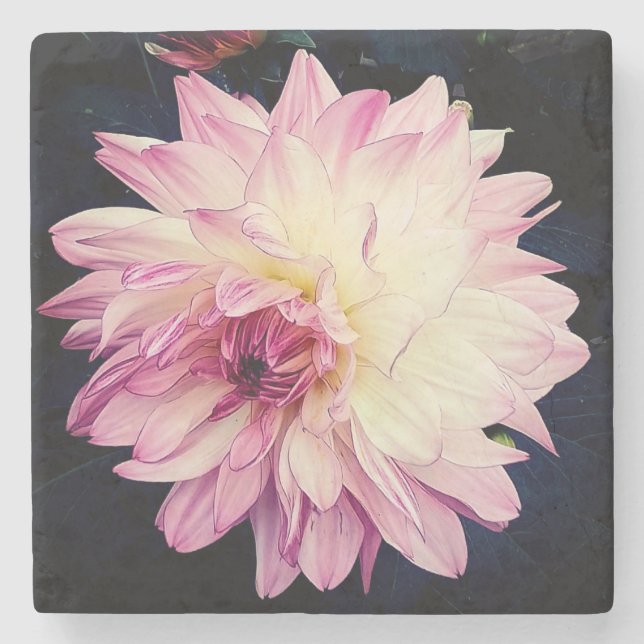 Posavasos De Piedra Flor rosa y crema (Anverso)