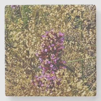 Posavasos De Piedra Flor silvestre púrpura de Wisconsin, cierre de oto
