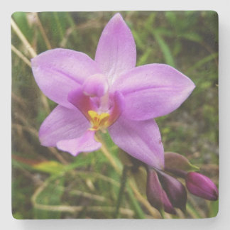 Posavasos De Piedra Flor tropical púrpura de orquídea salvaje