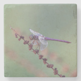 Posavasos De Piedra Flora de calabaza