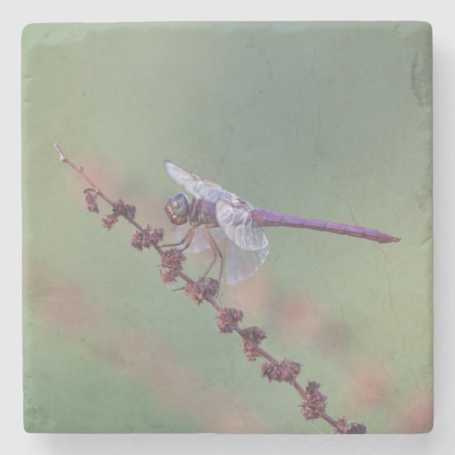 Posavasos De Piedra Flora de calabaza (Anverso)