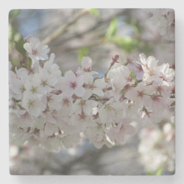 Posavasos De Piedra Floral