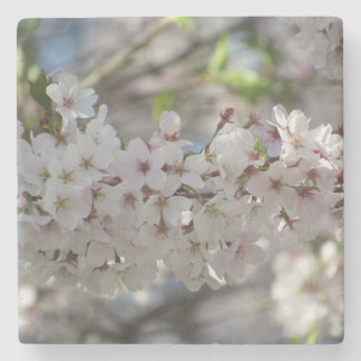Posavasos De Piedra Floral