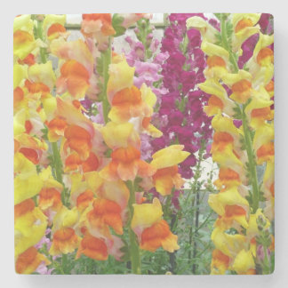 Posavasos De Piedra Floral colorida de Snapdragons