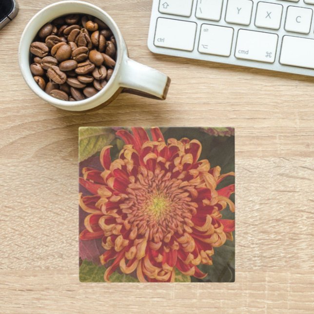 Posavasos De Piedra Floral de crisantemo rojo y amarillo (In Situ)
