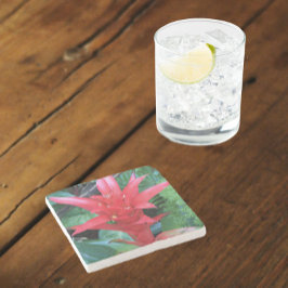 Posavasos De Piedra Floral de Guzmania Roja Bromeliad