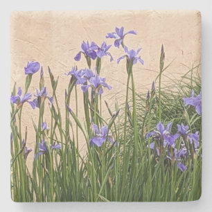 Posavasos De Piedra Floral de irlandeses azules de bonito