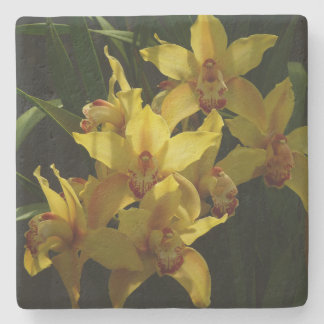 Posavasos De Piedra Floral de orquídeas amarillas soleadas