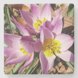 Posavasos De Piedra Floral de primavera de cruces rosas