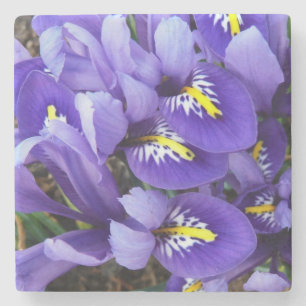 Posavasos De Piedra Floral de primavera de irlandeses azules en miniat