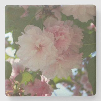 Posavasos De Piedra Floral de primavera del árbol de cerezo doble flor