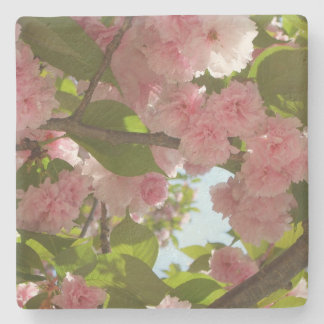 Posavasos De Piedra Floral de primavera del árbol de cerezo III con do