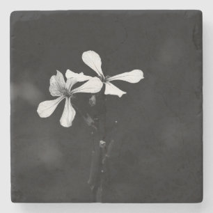 Posavasos De Piedra floral en blanco y negro minimalista