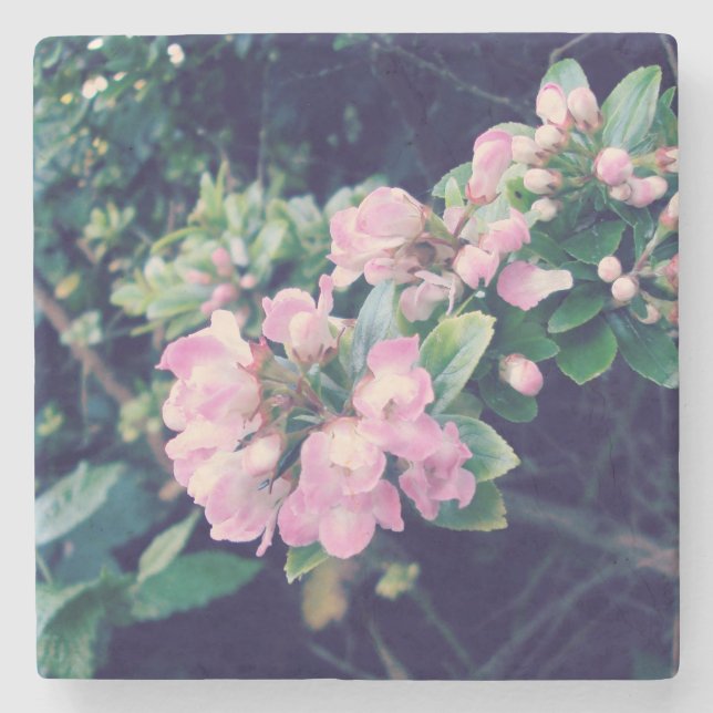 Posavasos De Piedra Floral rosa Escallonia (Anverso)