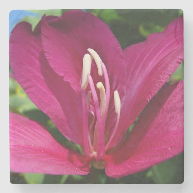 Posavasos De Piedra Floral tropical (Anverso)