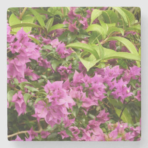 Posavasos De Piedra Floral Tropical Morada Bougainvillea