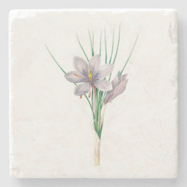 Posavasos De Piedra Flores: A007 Autumn Crocus -