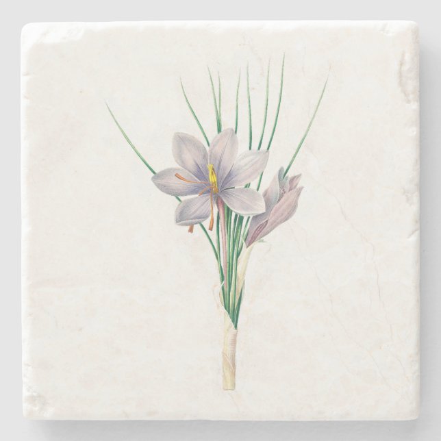 Posavasos De Piedra Flores: A007 Autumn Crocus - (Anverso)