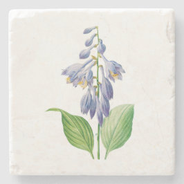 Posavasos De Piedra Flores: A012 diariamente -