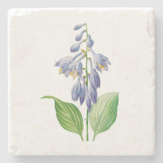 Posavasos De Piedra Flores: A012 diariamente -