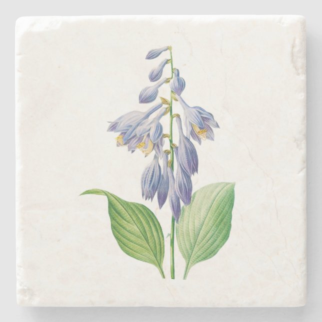 Posavasos De Piedra Flores: A012 diariamente - (Anverso)