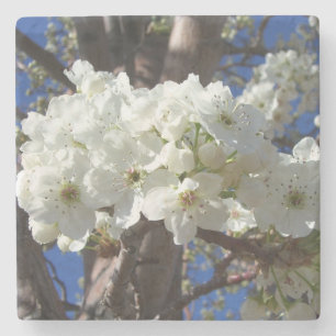 Posavasos De Piedra Flores blancas II Árbol de flores primavera