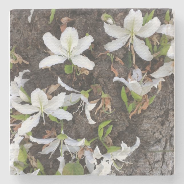 Posavasos De Piedra Flores de árbol (Anverso)