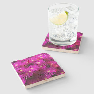 Posavasos De Piedra Flores de Aster Rosa