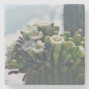 Posavasos De Piedra Flores de cactus saguaro