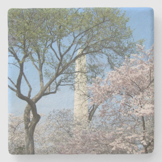 Posavasos De Piedra Flores de cerezo y el monumento de Washington en D