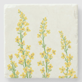 Posavasos De Piedra Flores de citrina amarilla moderna