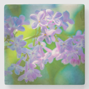 Posavasos De Piedra Flores de Lila Púrpura