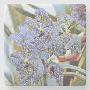 Posavasos De Piedra Flores de orquídeas azules púrpuras de pintura mod