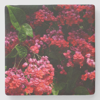 Posavasos De Piedra Flores de pagoda coloridas rojas y rosadas