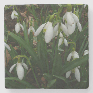 Posavasos De Piedra Flores de Primavera Blanca (Galanthus)