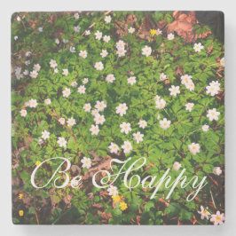 Posavasos De Piedra Flores de primavera de anémonas de madera blanca s