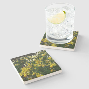 Posavasos De Piedra Flores de primavera de los Daffodils amarillos y b