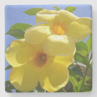 Posavasos De Piedra Flores de trompeta doradas I