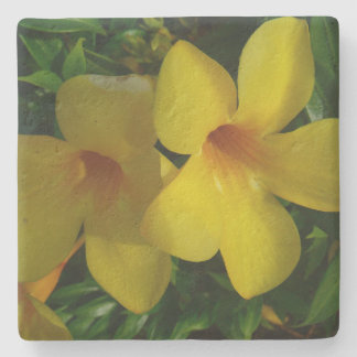 Posavasos De Piedra Flores de trompeta doradas II tropicales