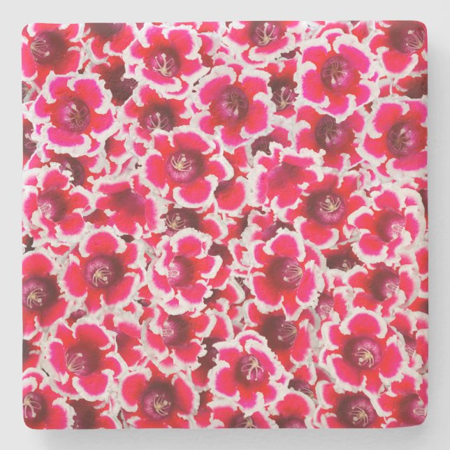 Posavasos De Piedra Flores de Weigela Florida (Anverso)