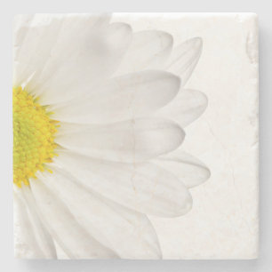 Posavasos De Piedra Flores florales de las margaritas de la flor de la