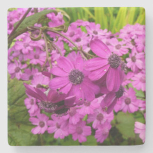 Posavasos De Piedra Flores moradas de San Francisco