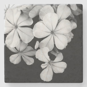 Posavasos De Piedra Flores negras y blancas en primer plano