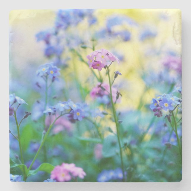 Posavasos De Piedra Flores nomeolvides (Anverso)