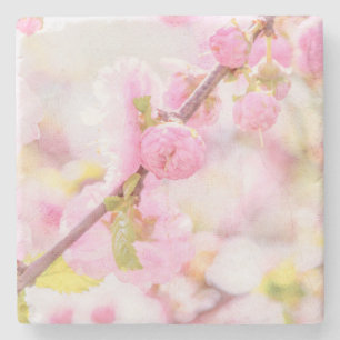 Posavasos De Piedra Flores rosadas sakura - Flor japonesa de cerezo