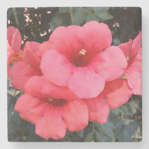 Posavasos De Piedra Flores rosas foto escayola de piedra de mármol