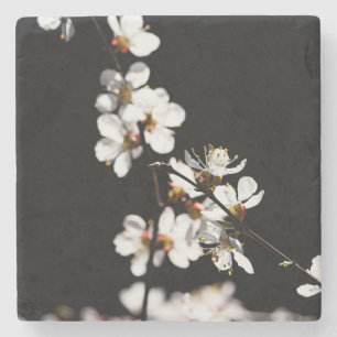Posavasos De Piedra Flores sakura