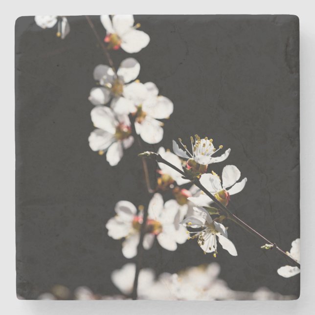 Posavasos De Piedra Flores sakura (Anverso)