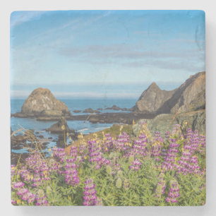 Posavasos De Piedra Flores Silvestres de Lupino Cubren las Colinas