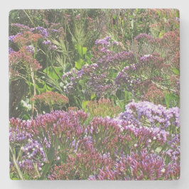 Posavasos De Piedra Flores silvestres, La Jolla Cove, CA